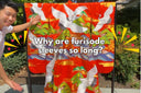 What Is Tamafuri? The Meaning Behind Waving Furisode Sleeves 👘✨