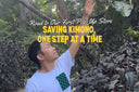 Preparing for My First Pop-Up Store: Sharing the Beauty and Stories of Kimono